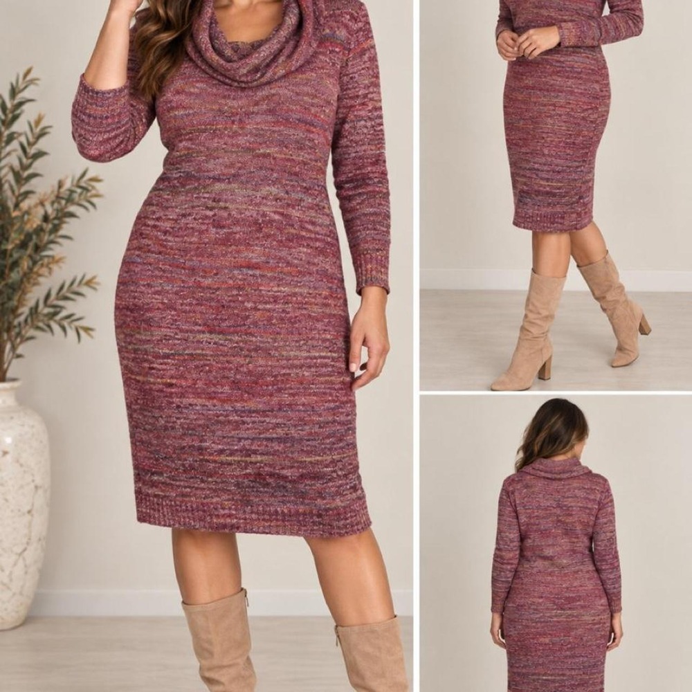 Max Studio Space Dye Cowl Neck Fall Sweater Dress Lagenlook Quiet luxury